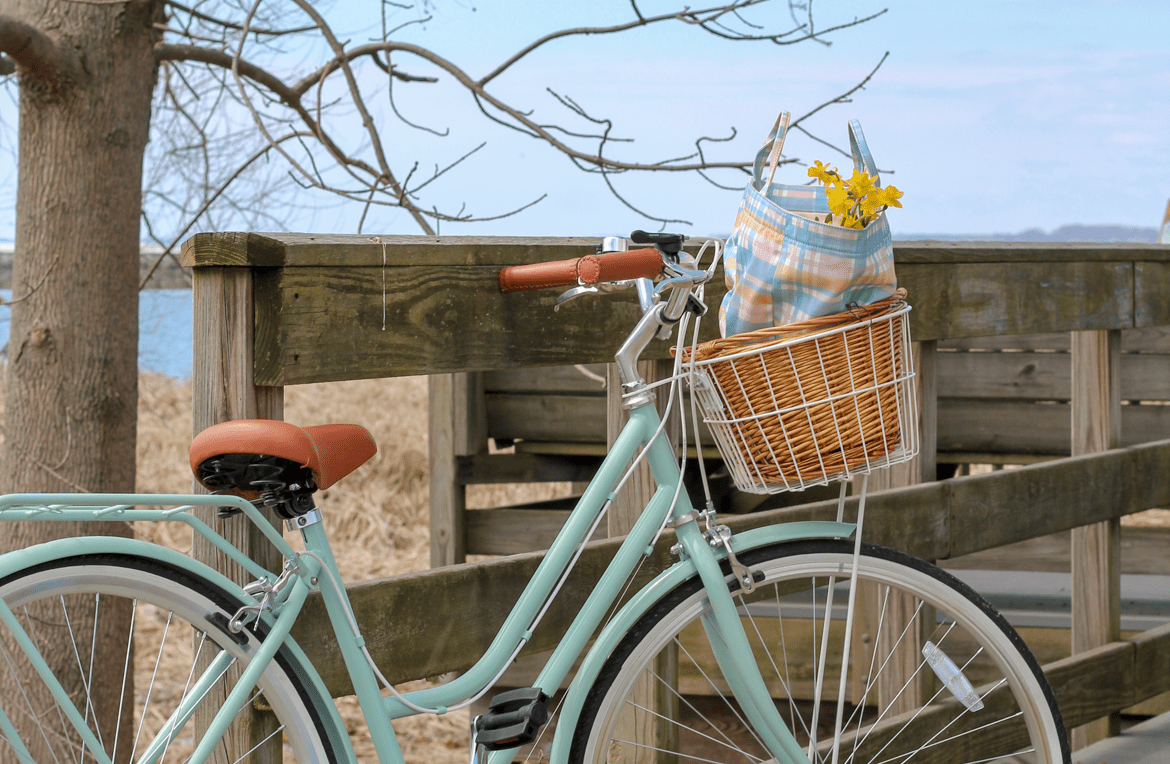 Ladies Classic 7-Speed Vintage Bike Sage Bikes Reid