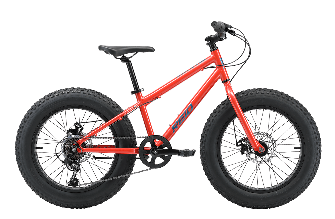 Monster 20