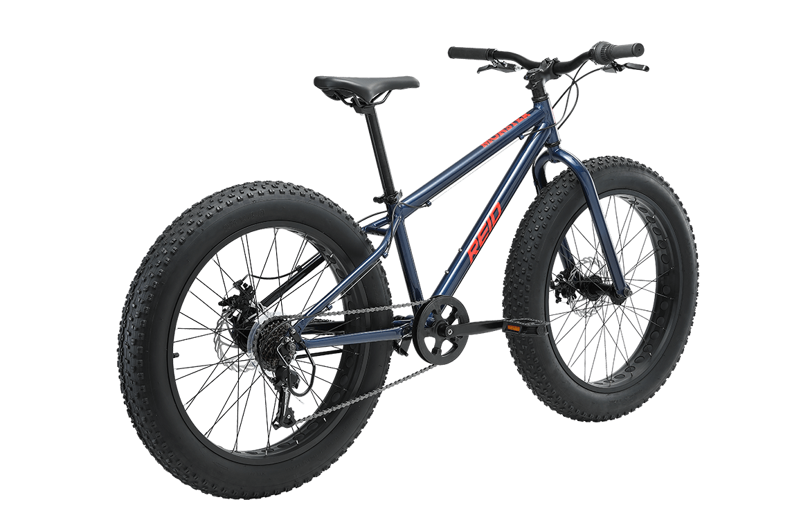 Monster 24" Kids Bike Blue Kids Bike Reid