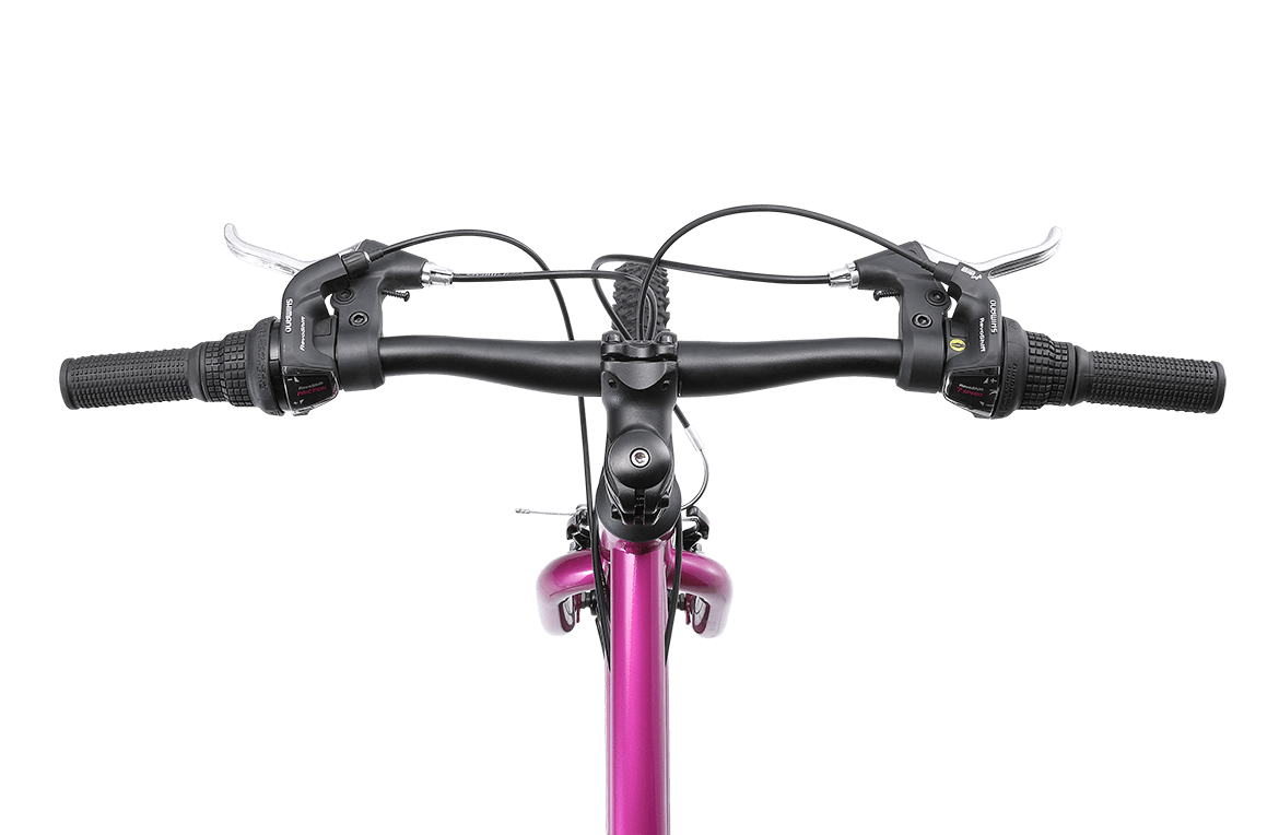 Original MTB WSD Mountain Bike Purple Bikes Reid