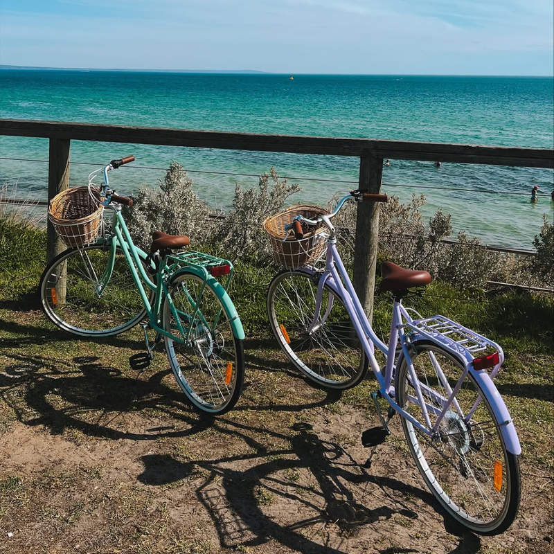 Ladies Classic Vintage Bike Lavender