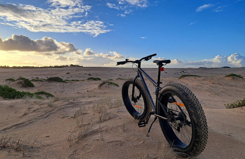 Alpha Fat Bike Army Green Fat Bike Reid