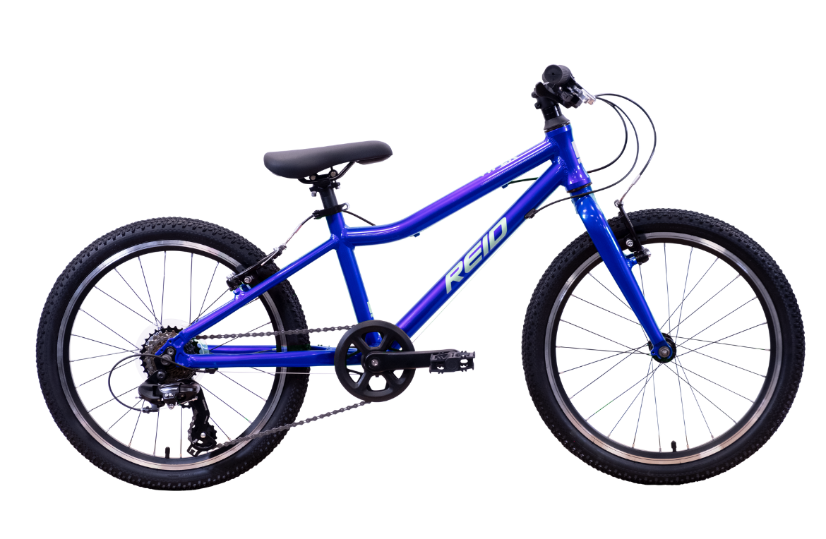 Viper 20" Kids Bikes Blue