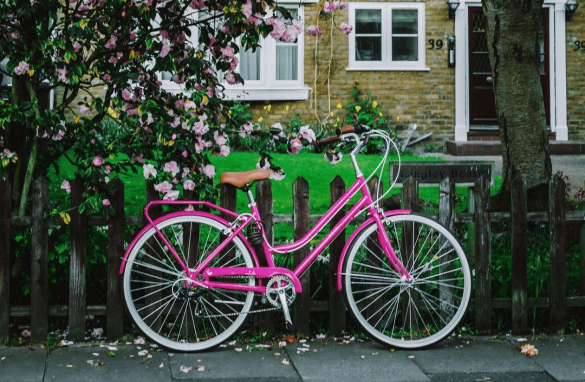 Ladies Classic 7-Speed Vintage Bike Hot Pink Bikes Reid   