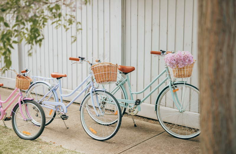Ladies Classic 7-Speed Vintage Bike Sage