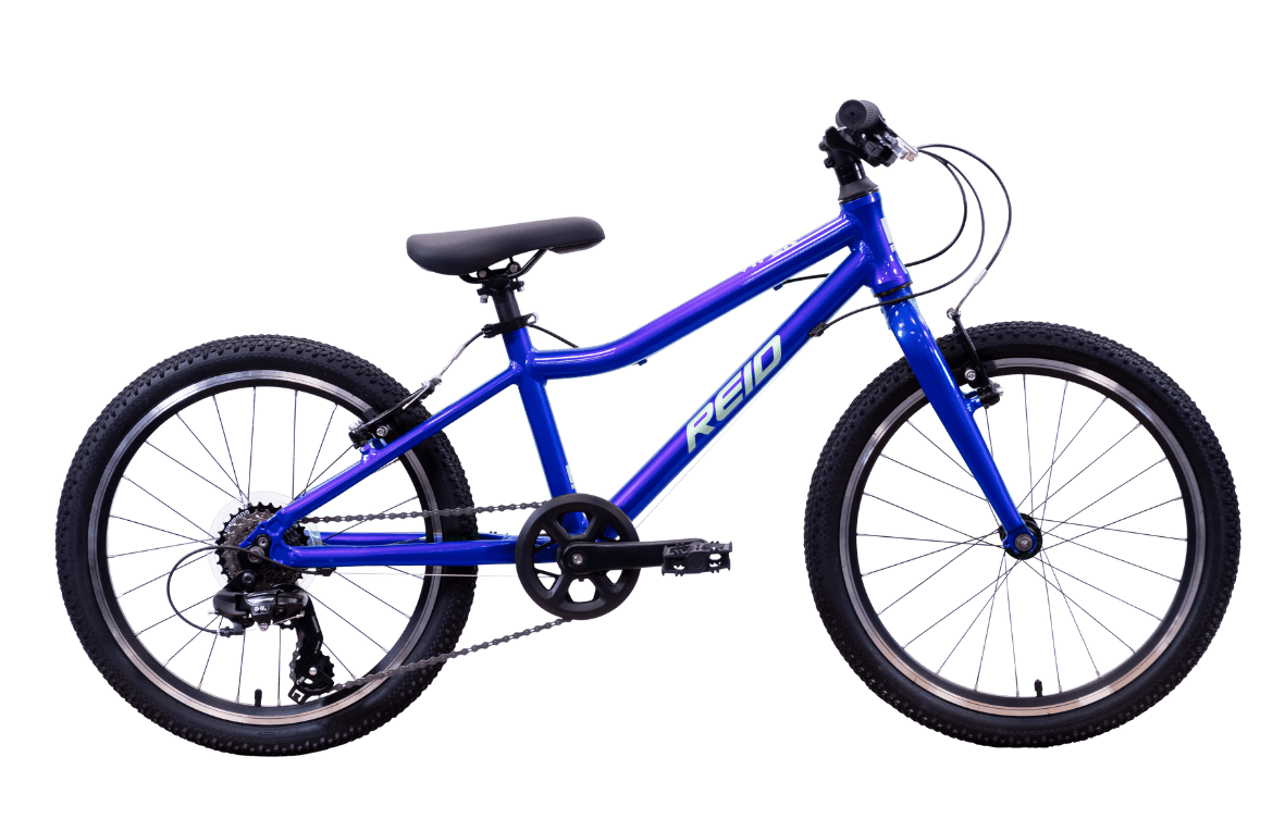 Viper 20" Kids Bike Blue Bikes Reid